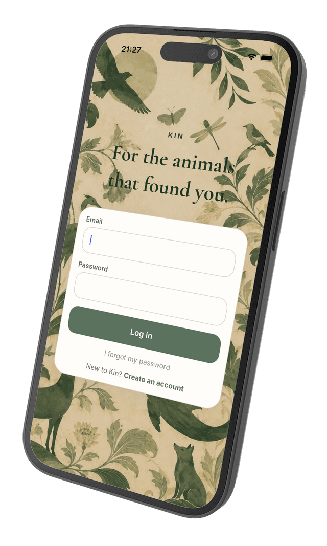 KIN app screenshot 1