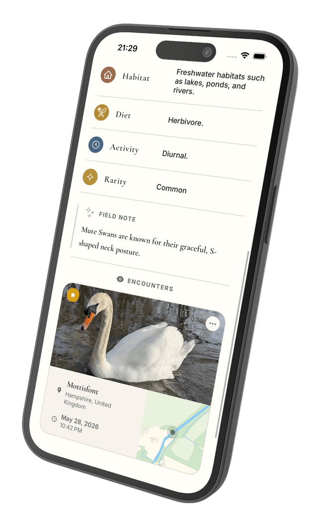 KIN app screenshot 3