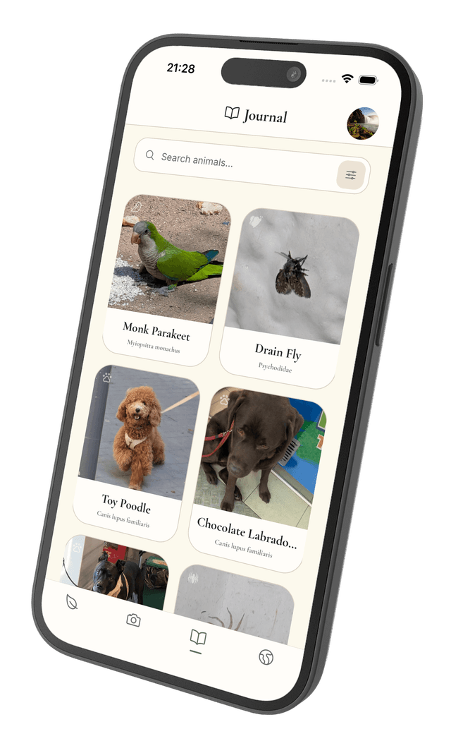 KIN app screenshot 4
