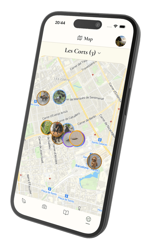 KIN app screenshot 5